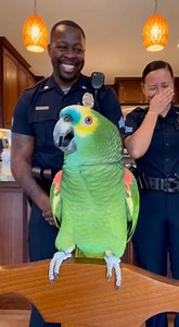 Parrot Roasts Two Officers on road 😂🦜 | #FunnyShorts #Parrot #Police #Comedy #Viral #Shorts | The Parrot vs Cop