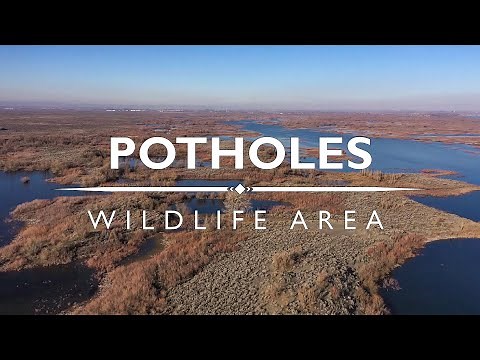 Potholes Wildlife Area - Washington State
