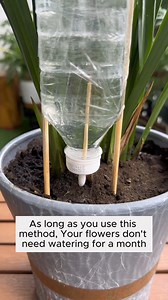 336K views · 1.3K reactions | Automatic watering with recycled bottles #gardeningisfun #countrygarden #gardeningmakemehappy #veggiegarden #happygardening | Garden Tips | Facebook