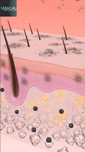 Skin Regeneration:did you know?