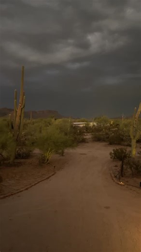 Ali on Instagram: "Dark Arizona skies are my favorite #Arizona #desert #sonorandesert #saguaro #monsoon"