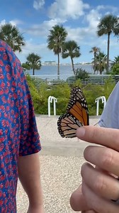 🦋 Monarch Madness is almost here! Celebrate the incredible monarch migration through Galveston with family-friendly activities, conservation talks, and local vendors. 🌿✨ Learn how our island plays a vital role in this amazing journey back to Mexico. 🎟 FREE event for all ages! 📍 White tent next to Discovery Pyramid at Moody Gardens 📅 Saturday, October 11 ⏰ 10 AM – 3 PM | Moody Gardens