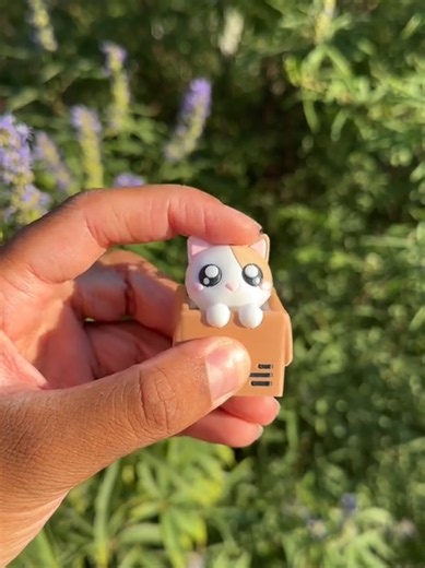 Comment utiliser (ou éviter) le clicker avec ton chat
