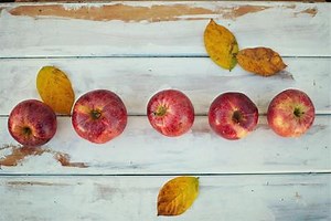 Ten Red Apples Song For In The Garden