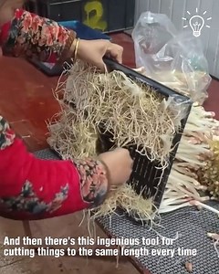 204K views · 523 reactions | Random tools that make everyday tasks easier! | Things Easier | Facebook