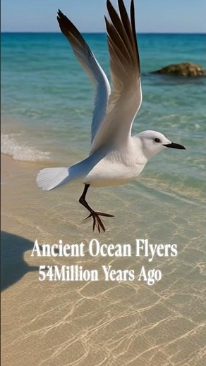 🌊🧬➡️🐧 The Evolution of Penguins 🌍✨