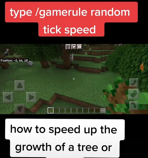 Minecraft Gamerule Command for Fastest Random Tick Speed Tutorial