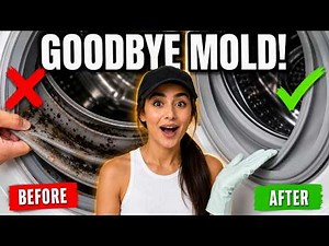 Hidden Mold Making Your Washing Machine Smell (3 Spots)