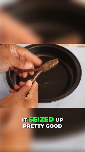 Unlock Seized Rusted Tools with THIS! #seejanedrill #diy