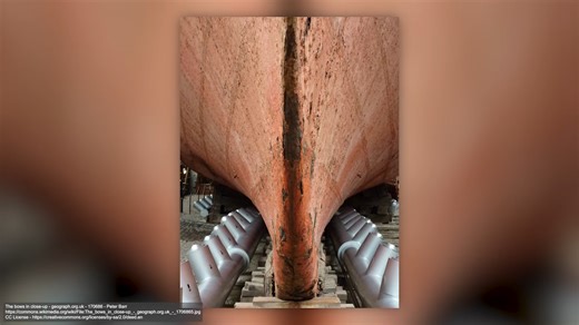 Why ships are painted red — and what they’re fighting underwater