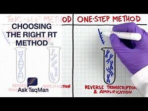 What is the Right RT Method for Your Experiment Ask TaqMan - Korean Subtitles