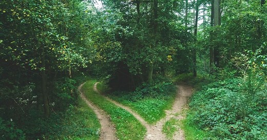 The Heart's Way — Coming Soon
