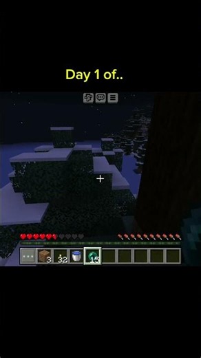 day 1 minecraft