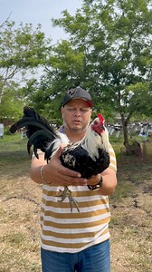 13K views · 585 reactions | Corral de 헚헥헔헡헝헔 헚헥험험헥 Para 헖헥헜헦헧헛헜헔헡 헟헢́헣험헭 헠헢헥헔헟험헦 de S JOSÉ ITURBIDE, GTO | Juan Greer Jr. | Facebook