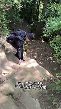 【鎌倉1日散歩】北鎌倉から天園ハイキングへ｜お寺・自然・小町通りを巡る大人の休日