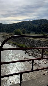 53K views · 706 reactions | Astăzi am făcut o ieșire de probă în pădure să vedem dacă au început să apară ghebele. Norocul a fost de partea noastră și am găsit destule cât pentru o mâncare bună, numai bună de pus pe masă pentru 8 persoane. Le voi gătit simplu, așa cum se face la țară: cu mămăligă caldă și mujdei aromat. O poftă stinsă în familie, cu gustul inconfundabil al toamnei!珞殺 | Acasa la Misha | Facebook