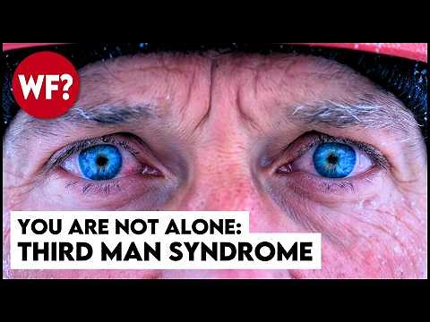 What Science Found at the Edge of Death | The Third Man