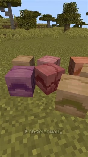 wally on Instagram: "automatic armadillo xp farm in minecraft #minecraft #minecraftmemes #minecraftbuilds"