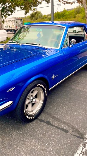 1966 Ford Mustang