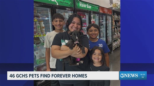 From shelter to sofa: 46 furry friends from Gulf Coast Humane Society find forever homes