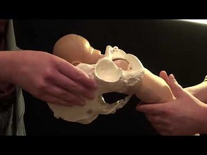 Norwich Birth Group - Physiological Breech Birth Information