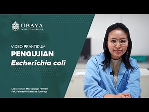Pengujian Bakteri Escherichia coli