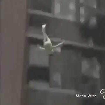 Kermit the Frog commits suicide
