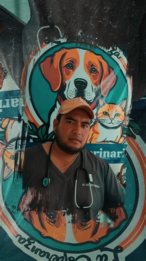 2.5K views · 20 reactions | ✨ESTERILIZACIÓN $200 M/N✨ Servicios Veterinarios La Esperanza Número de Contacto 232 148 35 59 #Veterinaria #fypシ #veterinarios #Exterilizacion #gatos #perros | Denuncia Ciudadana Martínez De La Torre Ver. | Facebook