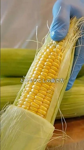 【とうもろこしの茹で方】
