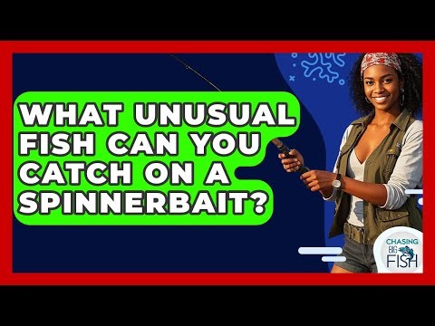 What Unusual Fish Can You Catch On A Spinnerbait? - Chasing Big Fish