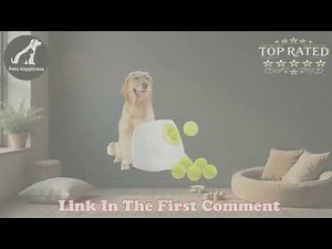 ALL FOR PAWS Automatic Dog Ball Launcher Ultimate Fetch Toy for Large Dogs