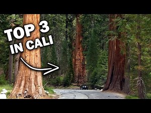 Sequoia RV Ranch | Sequoia National Park