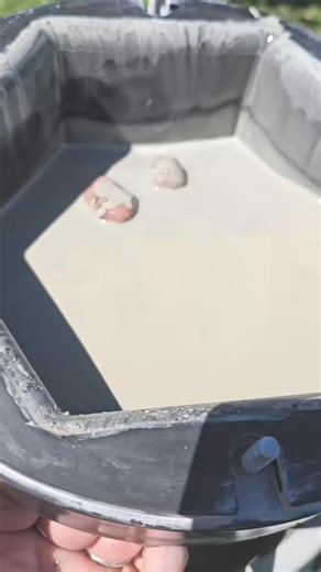 #rocks #amethyst #rocktumbling #agate #kdarn89 | Grant Pearl Explorer