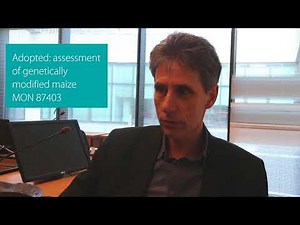 News from EFSA's expert meetings: genetically modified organisms