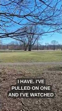 Thought of the week 3/1/2026