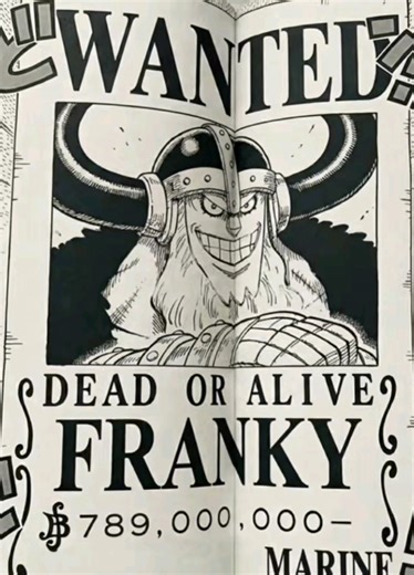 Bounty Terbaru Franky di One Piece