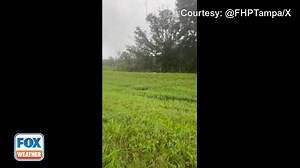159K views · 1.4K reactions | DON’T DO THIS: A video shared by the Florida Highway Patrol in Tampa shows a trooper helping to rescue a terrified dog that was left tied to a pole along Interstate 75 ahead of Hurricane Milton’s arrival. MORE: https://www.foxweather.com/weather-news/tracking-hurricane-milton-florida | FOX Weather | Facebook