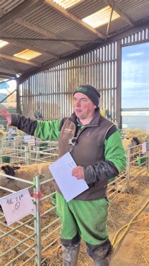 Farmer Duncan tells us 3 absolute essentials he uses during lambing time to ensure his sheep are happy and healthy🐑 #BackBritishFarming #Sheep #Lambs #Lambing #Essentials | Back British Farming NFU