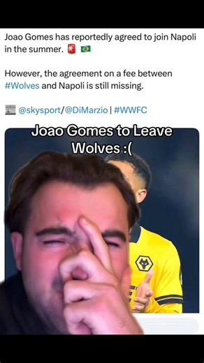 Joao Gomes Transfer Rumors: Wolves Fans React