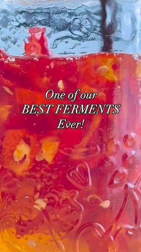 1.2K views · 17 reactions |  Fermented Hot Honey  This Fermented...