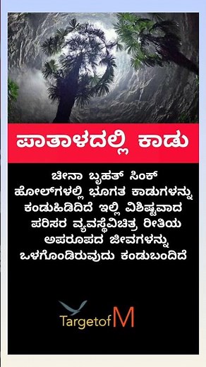ಪಾತಾಳದಲ್ಲಿ ಕಾಡು ಕಂಡು ಹಿಡಿದ ಚೈನಾ #forest #chinatravel #chinanews #china