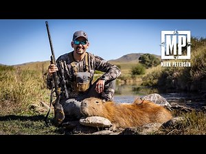 Argentina Part 3, Peccary//Capybara//Tahr | Mark V. Peterson Hunting