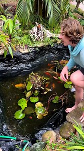 17K views · 333 reactions | Is this the BIGGEST albino pleco you have ever seen #fish #fishkeeping #aquarium #monsterfish #fishing | EWaste UsA Fishings | Facebook