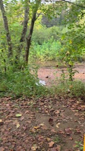 Video of Hune Bridge Campground, OH from Jeff P.