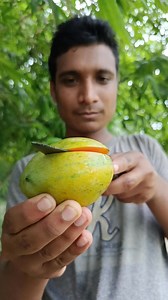 A moose's foot in the forest#outdoors #camping #bushcraft #survival #sentohub #lifehacks #funny #ide | Maruf Skills