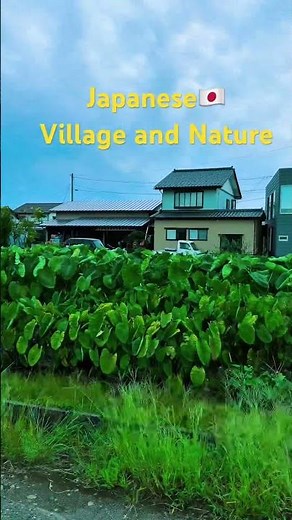 🌸 Relaxing Japan Countryside 🇯🇵 | Peaceful Nature Vibes | 4K Travel HD