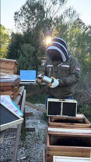 Installing Bee Packages!!!