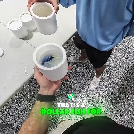 185K views · 3.1K reactions | Opening Fish From the Vending Machine #explore | The Fish Guys | Facebook