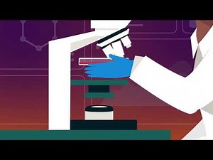 Colony Forming Cell Assays Predict Compound Induced Toxicities