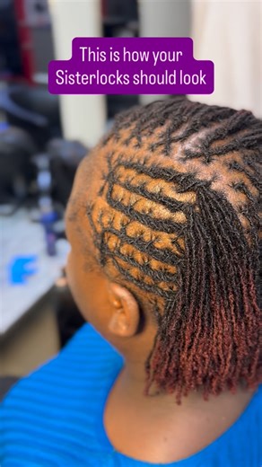 Locs extensions |humanhair |Sisterlocks and Microlocs on Instagram: "Fresh retied sisterlocks #sisterlocks #microlocks #locticiankhasim #hairtransformation #locs #locstyles #locstylesforwomen #naturalhair #nairobifashion #nairobitrends #nairobifinest #locskenya ##locscommunity"